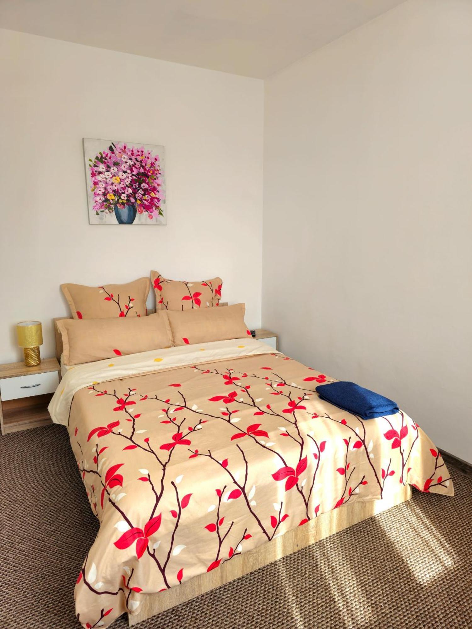 Aparthotel Sibiu Cedonia מראה חיצוני תמונה